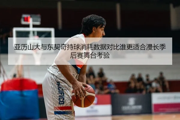 亚历山大与东契奇持球消耗数据对比谁更适合漫长季后赛舞台考验